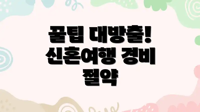 꿀팁 대방출! 신혼여행 경비 절약