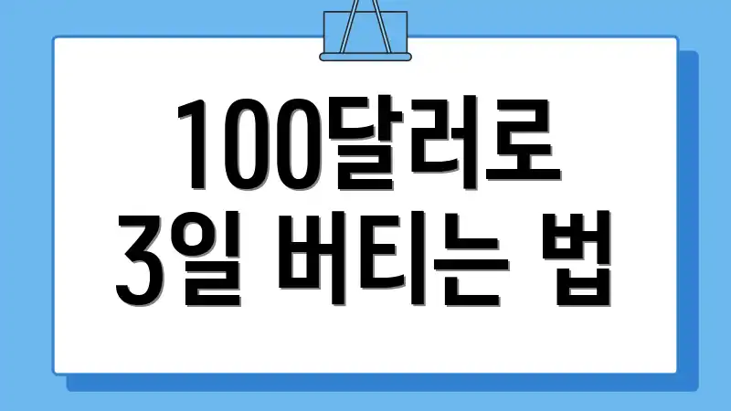 100달러로 3일 버티는 법