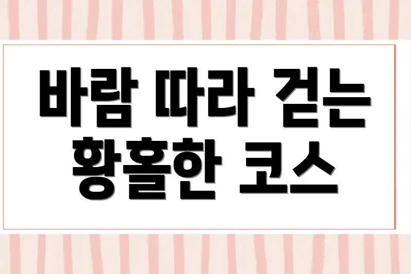 바람 따라 걷는 황홀한 코스