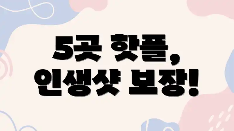 5곳 핫플, 인생샷 보장!