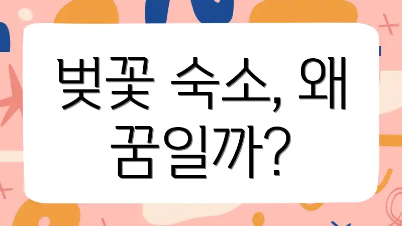 벚꽃 숙소, 왜 꿈일까?