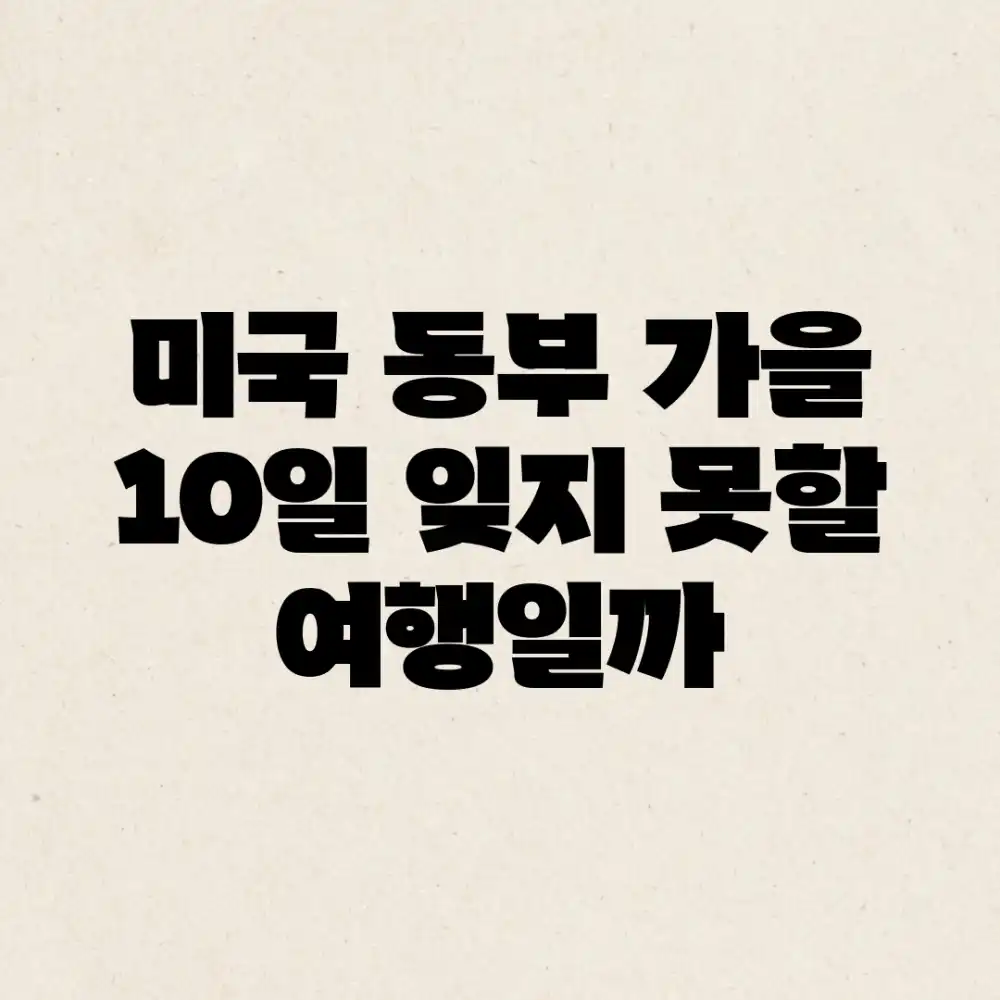 미국 동부 가을 10일, 잊지 못할 여행일까?