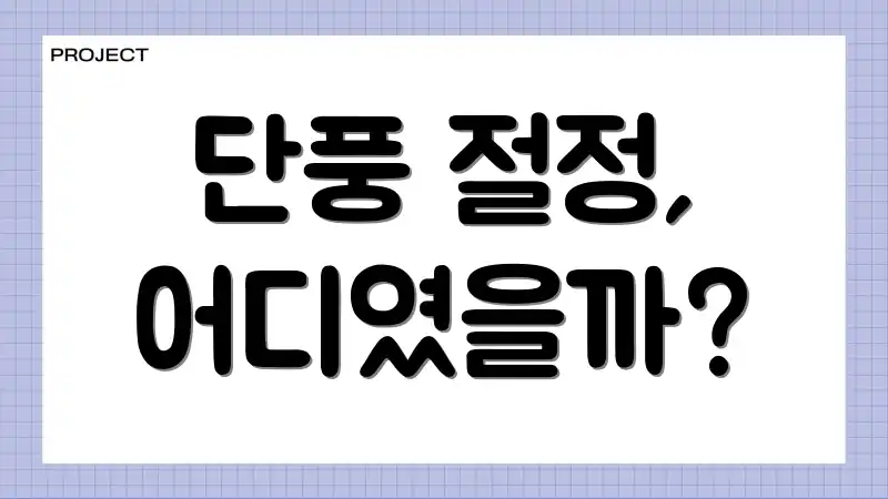 단풍 절정, 어디였을까?