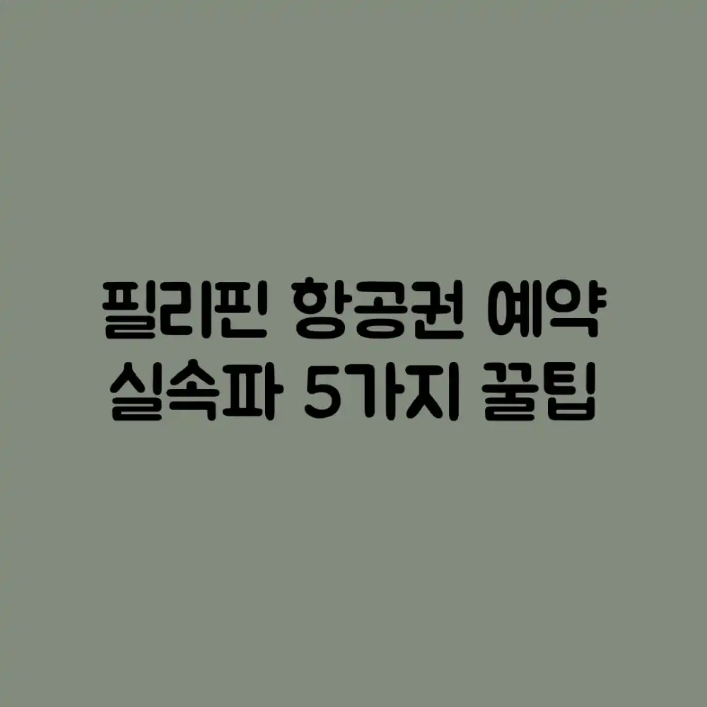 필리핀 항공권 예약: 실속파 5가지 꿀팁