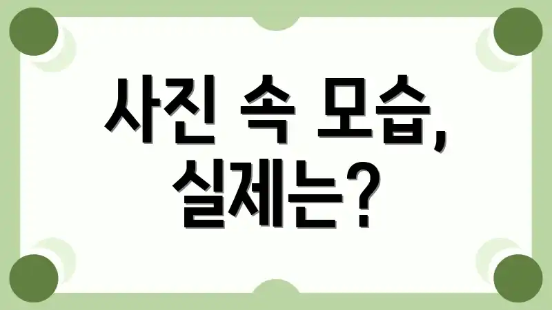 사진 속 모습, 실제는?