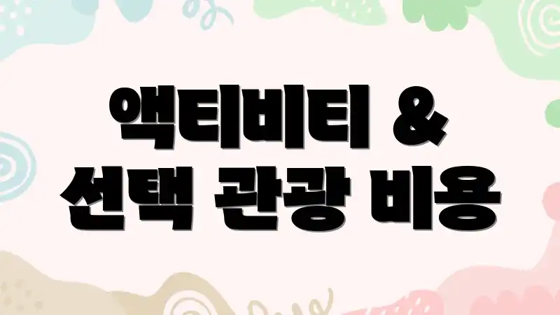 액티비티 & 선택 관광 비용