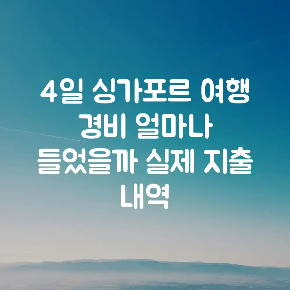 4일 싱가포르 여행, 경비 얼마나 들었을까? (실제 지출 내역 4일 싱가포르 여행, 경비 얼마나 들었을까? (실제 지출 내역