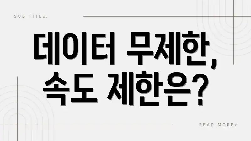 데이터 무제한, 속도 제한은?