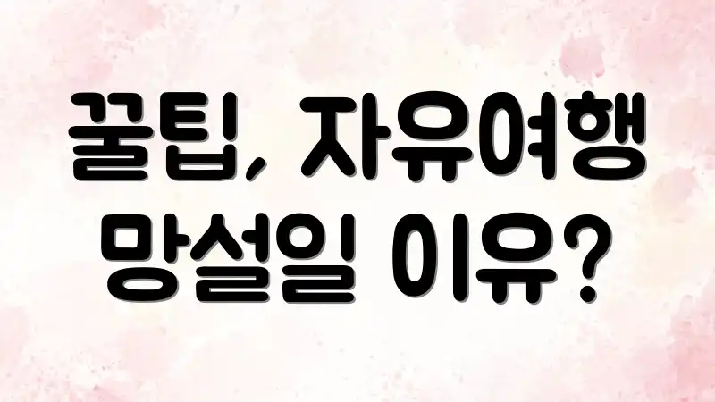 꿀팁, 자유여행 망설일 이유?