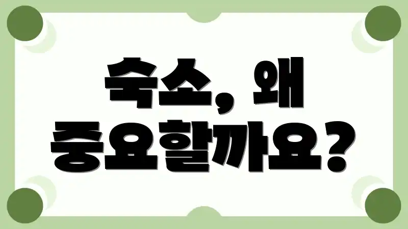 숙소, 왜 중요할까요?