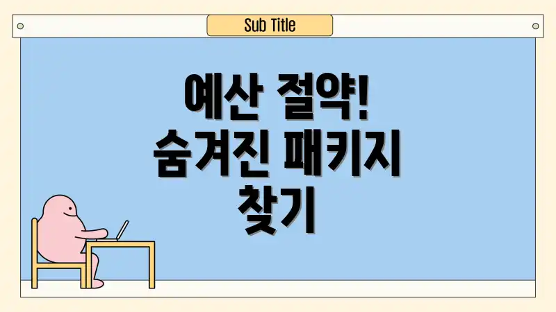 예산 절약! 숨겨진 패키지 찾기