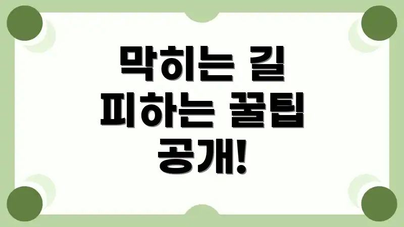 막히는 길 피하는 꿀팁 공개!