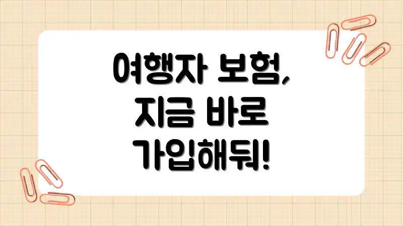 여행자 보험, 지금 바로 가입해둬!