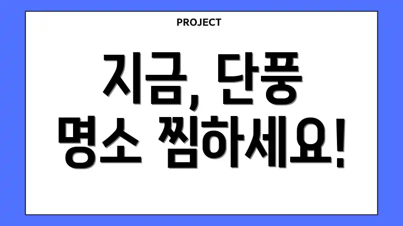 지금, 단풍 명소 찜하세요!