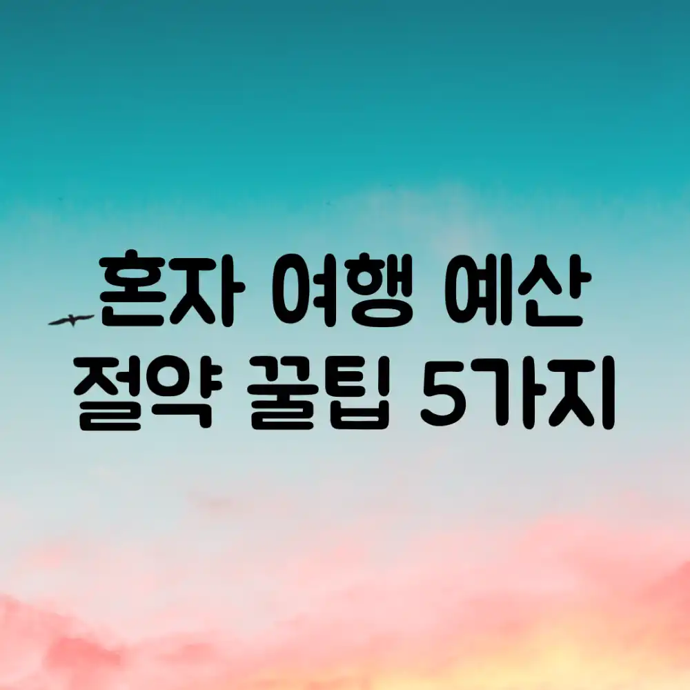 혼자 여행✈️ 예산 절약 꿀팁 5가지💰