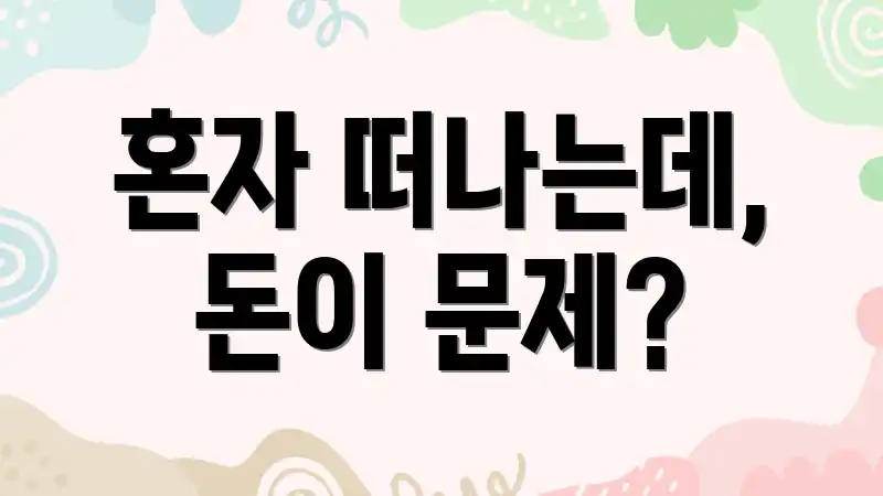 혼자 떠나는데, 돈이 문제?