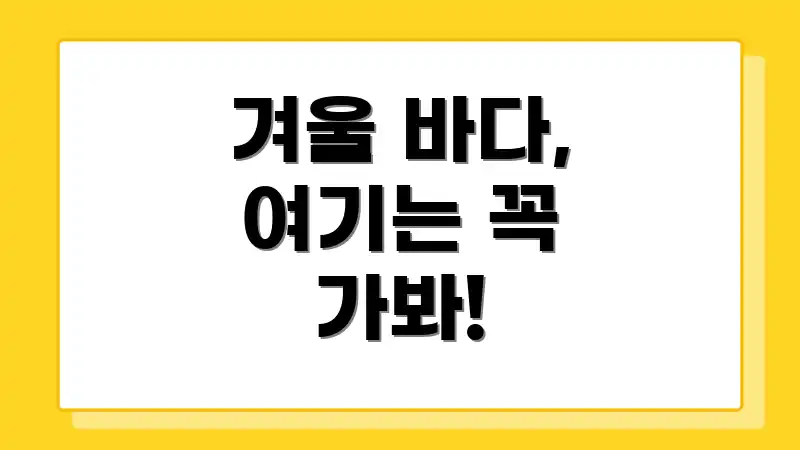 겨울 바다, 여기는 꼭 가봐!