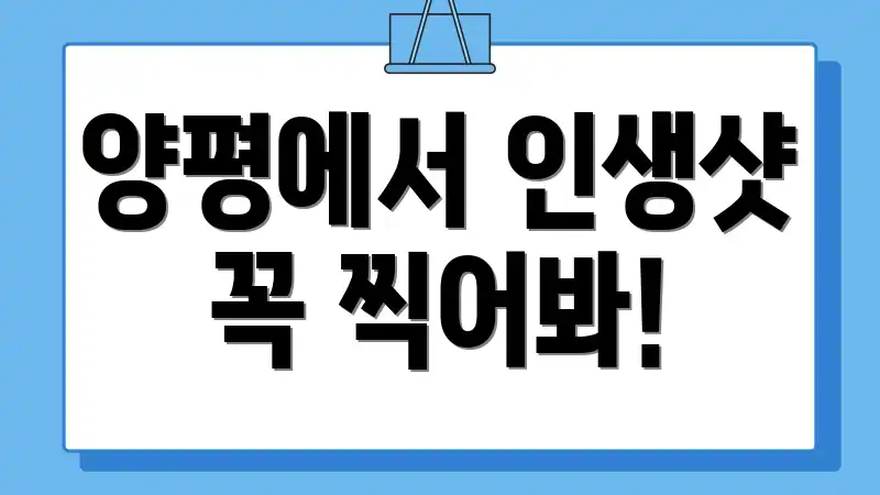 양평에서 인생샷 꼭 찍어봐!