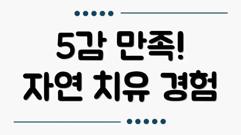 5감 만족! 자연 치유 경험