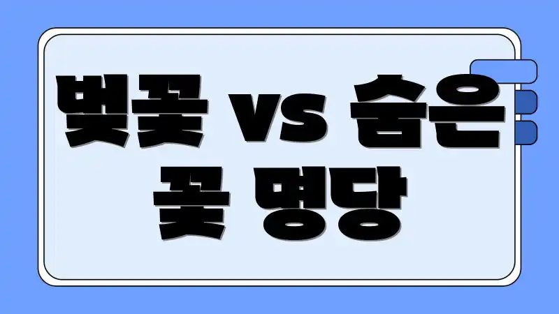 벚꽃 vs 숨은 꽃 명당