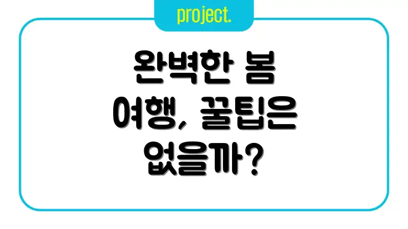 완벽한 봄 여행, 꿀팁은 없을까?