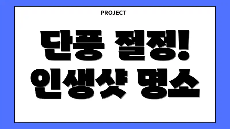 단풍 절정! 인생샷 명소