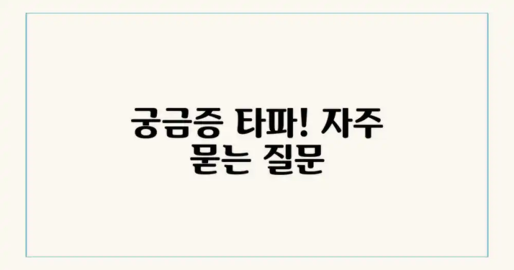 자주 묻는 질문