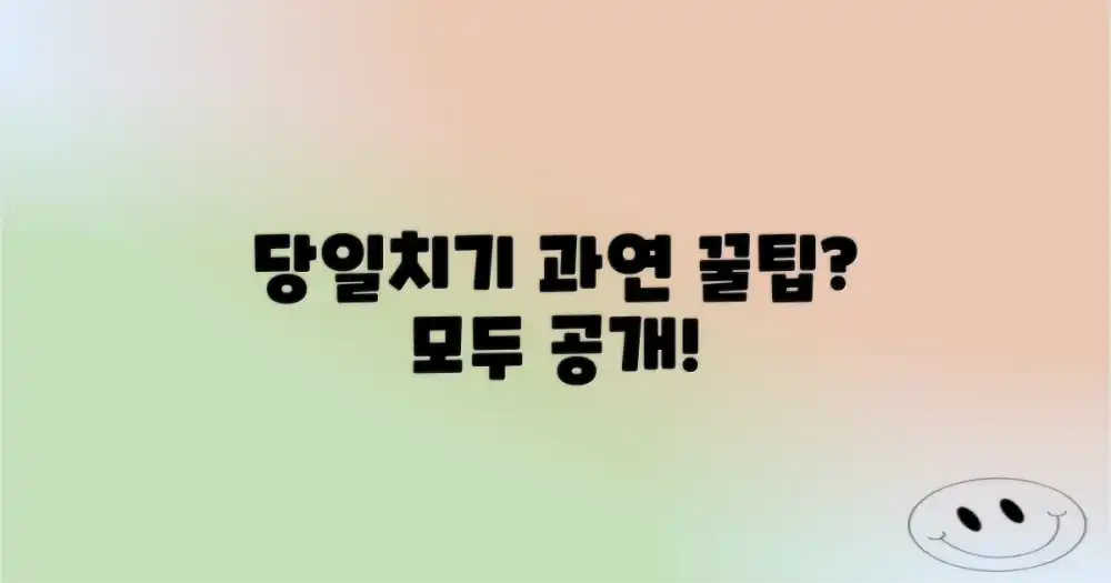 당일치기, 과연 꿀팁이 있을까?