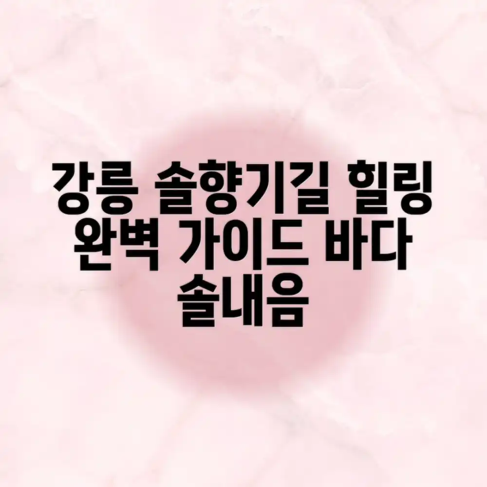 강릉 솔향기길 걷기, 힐링 코스 완벽 가이드 강릉 솔향기길 걷기, 힐링 코스 완벽 가이드