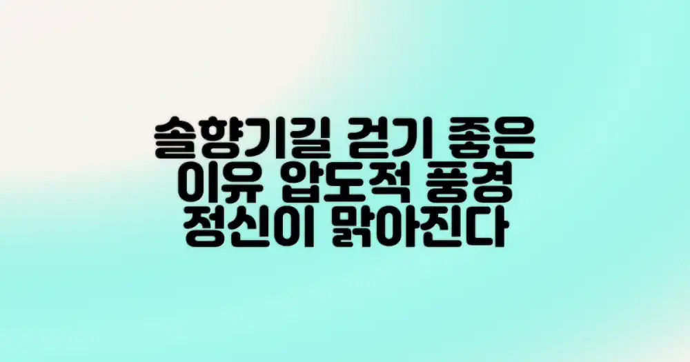 솔향기길, 왜 걷기 좋을까?