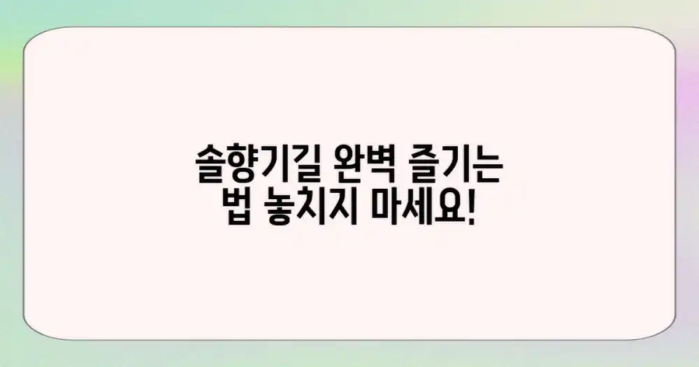 솔향기길, 어떻게 즐길까?