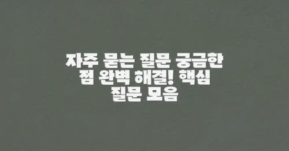 자주 묻는 질문